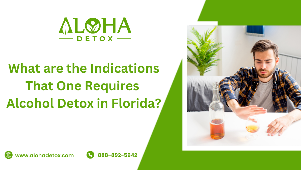 What are the Indications That One Requires Alcohol Detox in Florida?